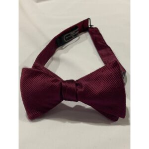 import placeholder for 313