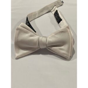 import placeholder for 299